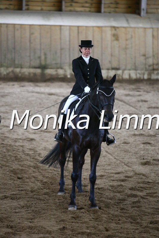 006M5686_Dressurpferde L.JPG